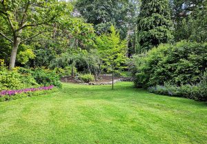 Optimiser l'expérience du jardin à Paroy-sur-Saulx